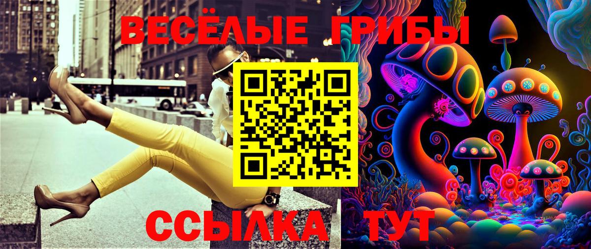Псилоцибиновые грибы MAGIC MUSHROOMS Кулебаки