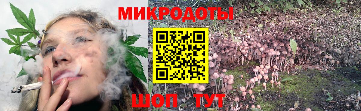 Кулебаки  где найти наркотики  Вход с VPN  Псилоцибиновые грибы Psilocybe 